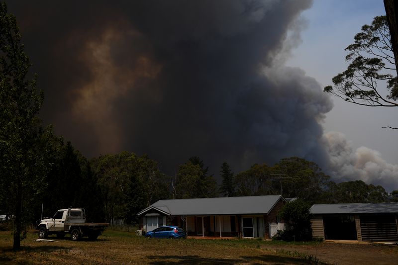 Australie: Les feux de brousse encerclent Sydney, chaleur extrême